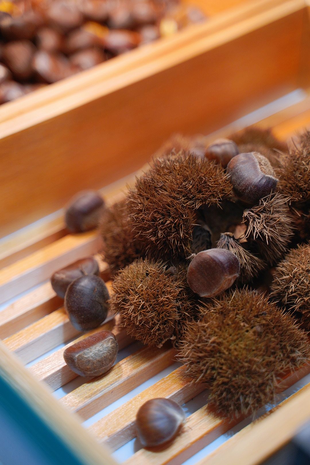 商场里|美食打卡攻略!每一个美食聚集地,都种满了成都人