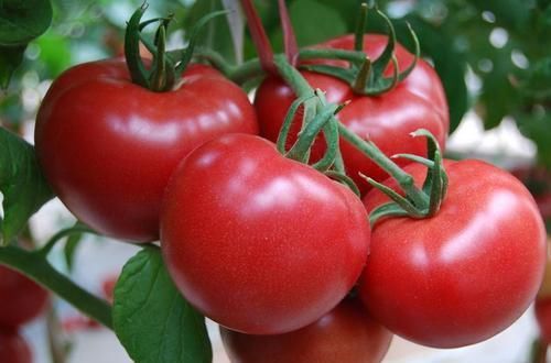  先兆|头晕、手发麻、言语不清？是脑梗先兆！4种食物让大脑年轻10岁