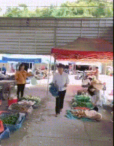 GIF|搞笑GIF：卖菜的不应该都是大妈吗？为什么这位小姐姐这么漂亮？