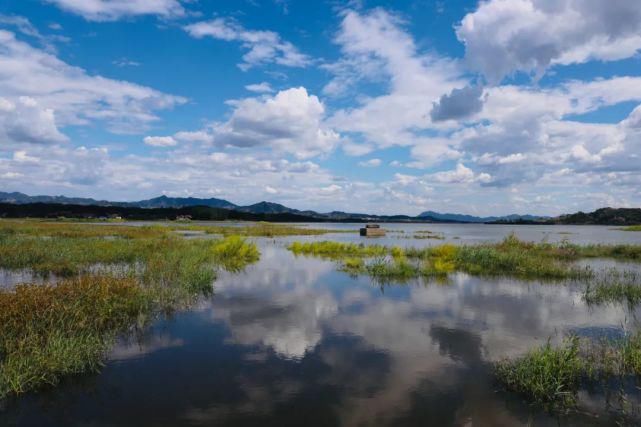 何必|何必远行~这里的湖光山色惹人醉！