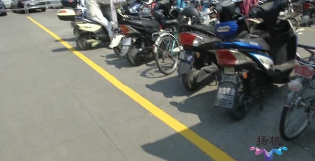 出行|记者见闻：多方合力齐行动文明出行成风尚