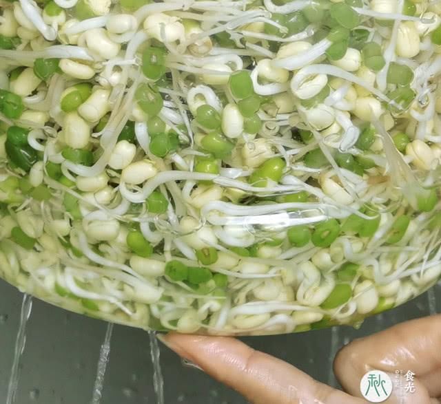 放心|喜欢吃绿豆芽的快来看看,3把绿豆5天生出1大桶,安全健康放心吃