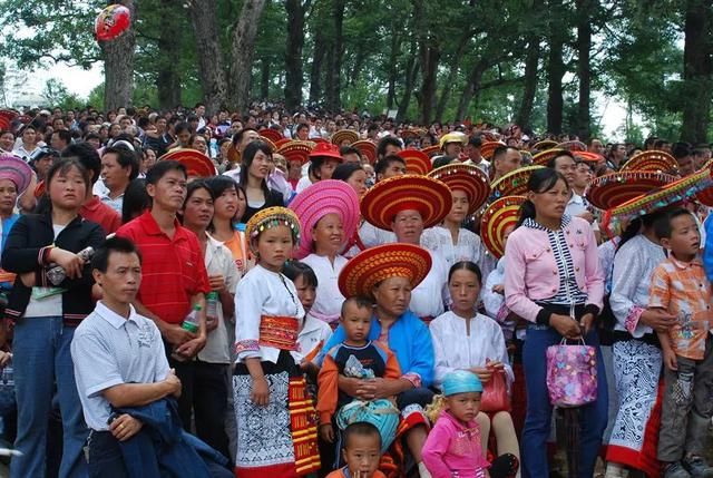 崇木|崇木凼村：与“古树”相生相成