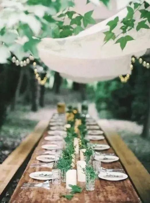 友好城市|青年友好城市营造 | 听说了吗?武侯区也能看极光啦