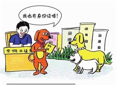 动物医院|严厉打击！我市3部门联合执法