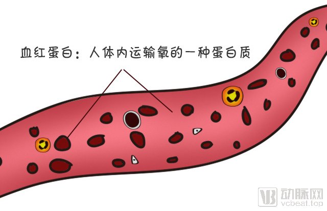 重点|“2021年度十大医疗创新”出炉，这些领域值得重点关注