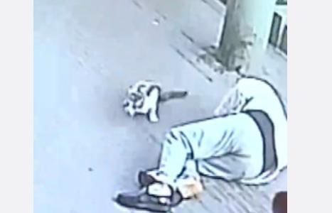  傻眼|老人被砸成重伤，家属索要15万赔偿，肇事者的身份让人傻眼