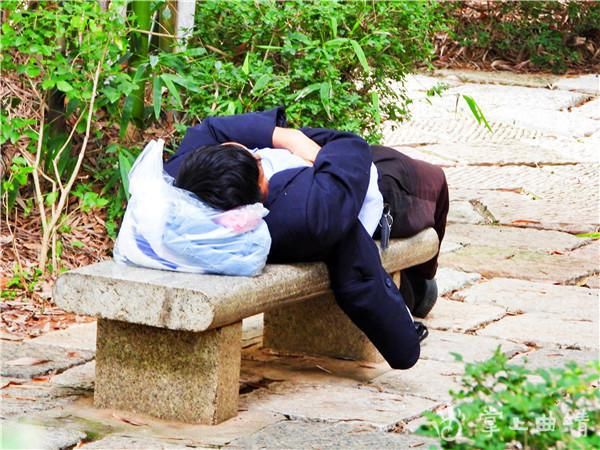 长椅|【不文明行为随手拍】躺在长椅上睡觉太不雅观