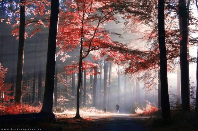  秋景|这一组迷人秋景，美爆了朋友圈！