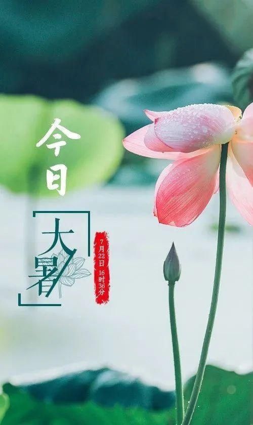 大暑|16:37 大暑节气至