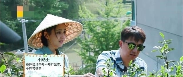 蘑菇屋|《向往的生活》四季,一步步变身专职厨师的黄磊,用行动表达不满