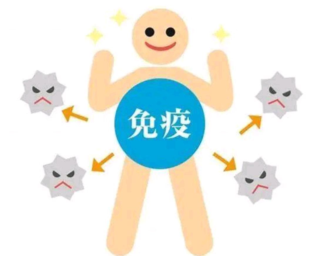 断食3天可以更换免疫系统吗(断食3天后，能重启人体免疫系统吗？想要提升免疫力，多重视4点)