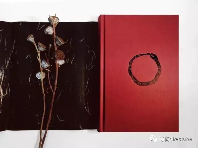  电影|贝拉·塔尔：撒旦的旋律，魔鬼的舞步