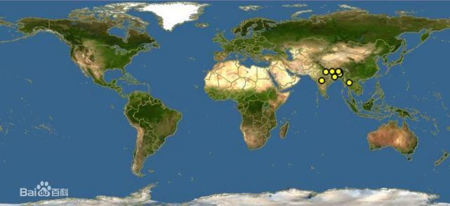  中国|高黎贡山 | 中国五星级观鸟胜地，你知道吗？