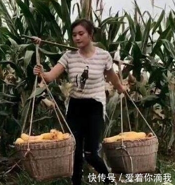 大学生|90后女大学生帮父母掰玉米,口干了没水,下一幕她的做法让人惊讶