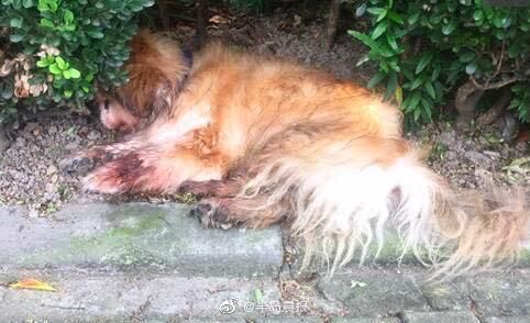  销往|太可恶！辽宁宣判！涉案8400余万！销往多个地区｜新闻日志