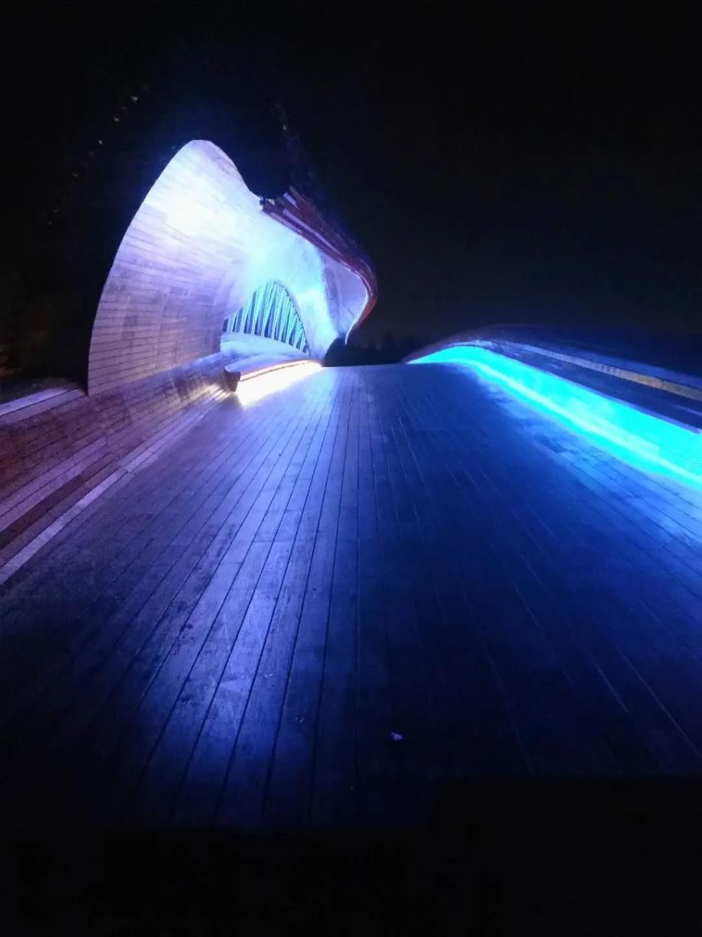 网红|【探索】滴水湖4座“网红”景观桥亮灯啦!快来先睹为快