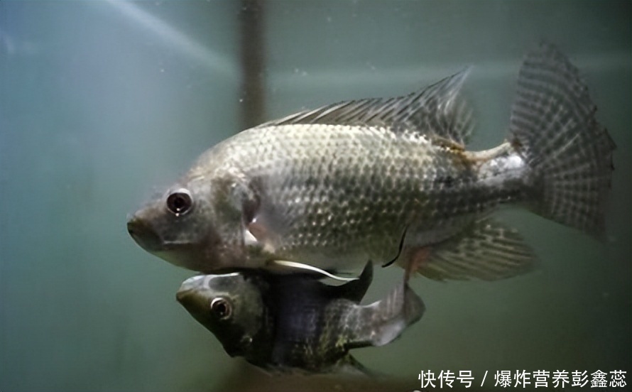 吃了核辐射的食物会怎么样(如果吃了核辐射污染的食物，身体会出现哪些症状？有什么样的后果)