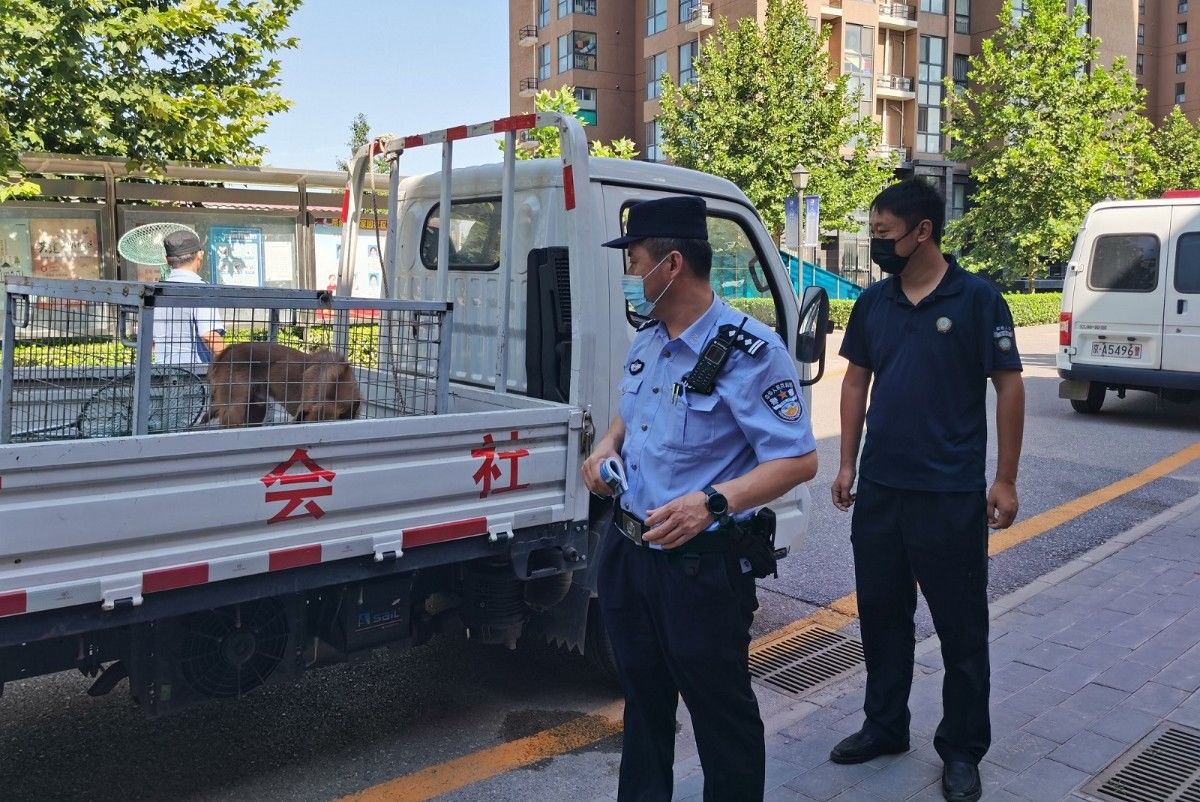 视频巡控|危急时刻民警如“神兵天降”,怎么做到的?揭秘派出所“CPU”