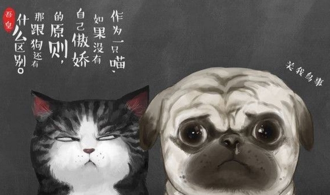 苍猫|《全球高武》文言文版:苍猫篇