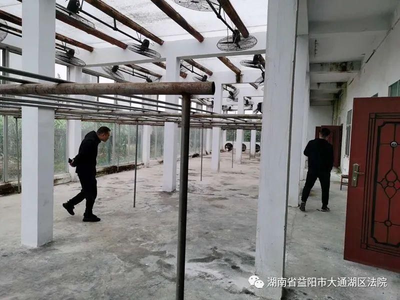 日记|大通湖区法院：“国庆假期”执行日记