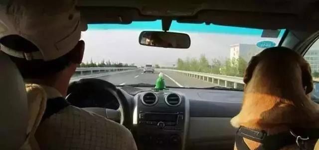  情况|这种情况下，副驾驶没坐人也算违法！