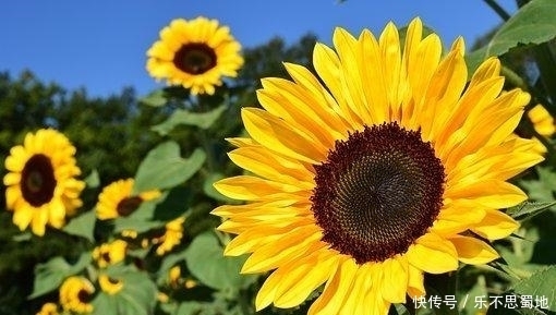 心软|脾气大、但很好哄的星座女,性格纯真,给点甜头就心软