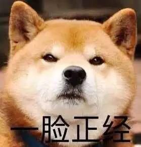  正经|12个被误解的正经汉字……