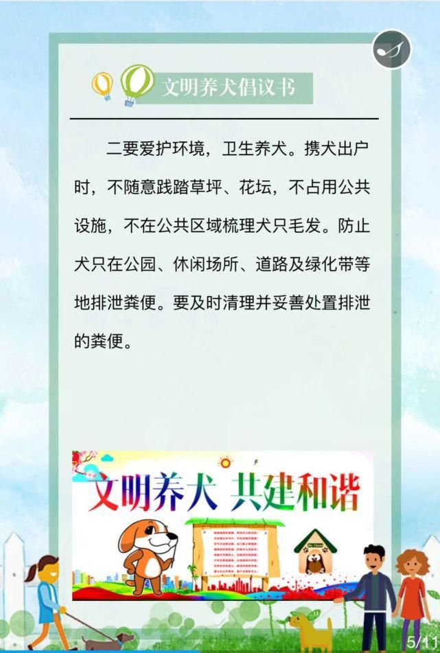 重点管理区内|文明之忻丨文明养犬 从我做起