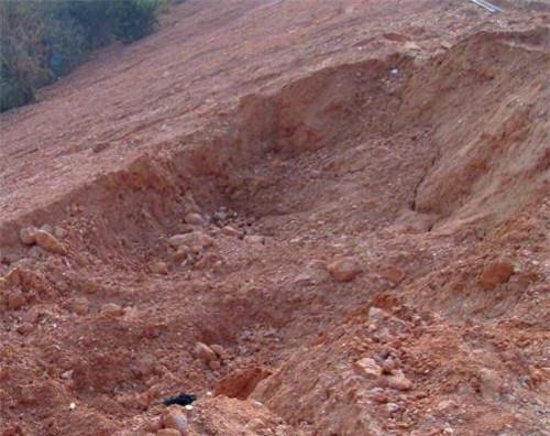  博物馆|最低调的文物：专家鉴定3次皆为赝品，他50元买下，如今价值上亿