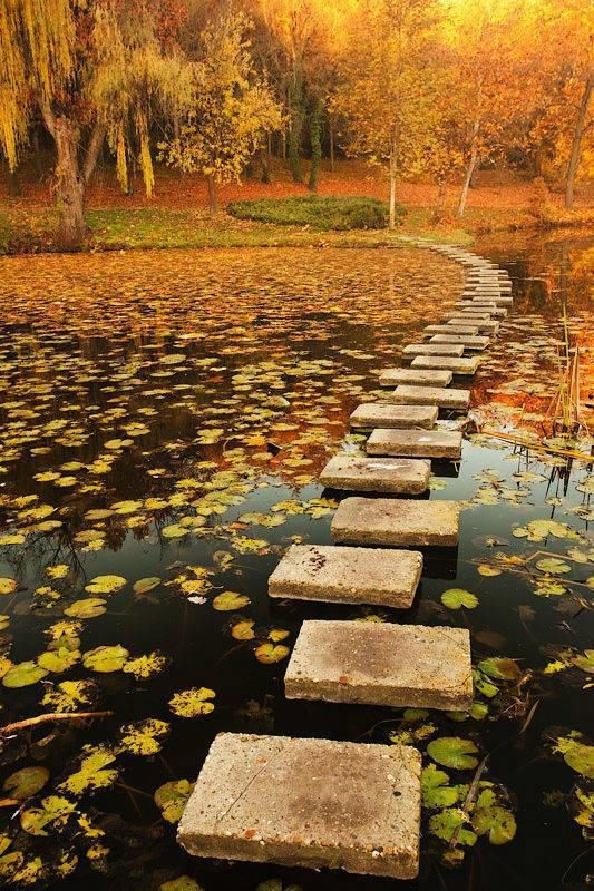  秋景|这一组迷人秋景，美爆了朋友圈！