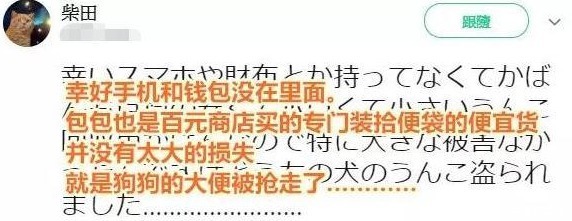  位铲屎官|用来装狗子便便的包被抢走，不知道小偷的心情如何，铲屎官懵