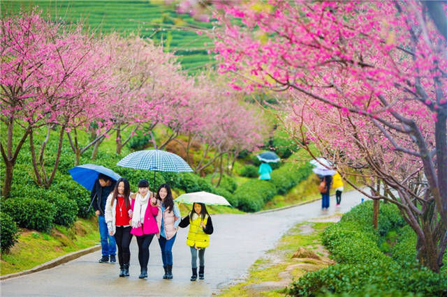  再不去|美翻！2019年第一波“美色”已上线，再不去就收费了！