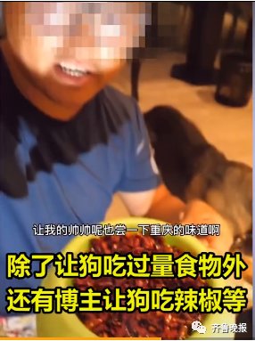 视频|宠物博主让狗当大胃王，一次吃100种零食！网友：为了卖货不择手段