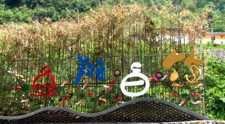  翻身仗|【决战决胜 脱贫攻坚】这个村打了场漂亮的“翻身仗”