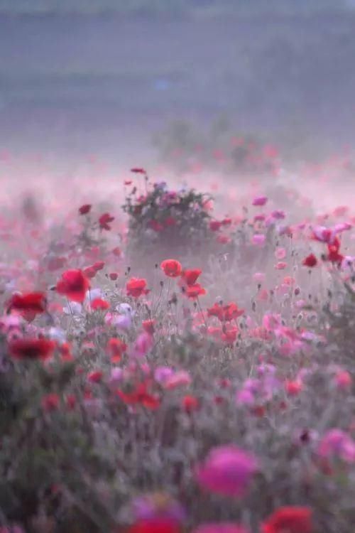 难得一见|奇妙风光，难得一见