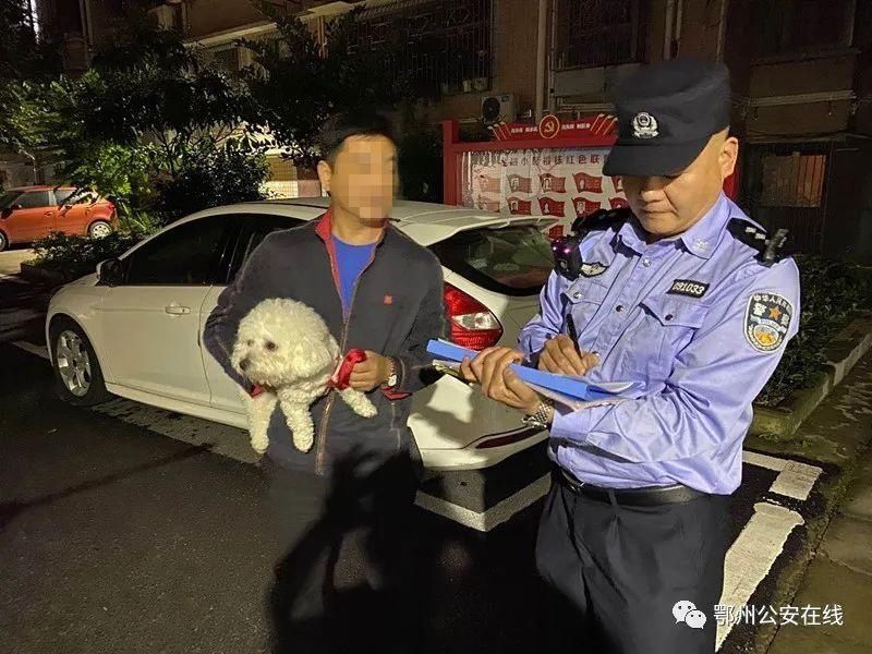 文明城市|文明城市创建：别让自己和喜爱的狗狗成为不文明......