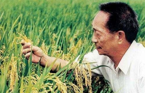 答案|袁隆平是位“千亿富豪”?内部人员道破答案:如果他愿意的话