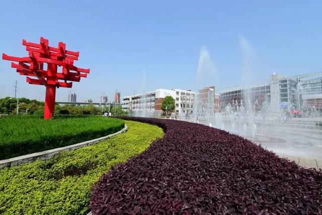 优异|华师一附中理科竞赛班：保送清华、北大，学习能力出色，群星闪耀