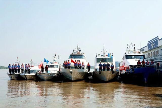 嫌疑人|重拳出击！抓获违法犯罪嫌疑人44名！