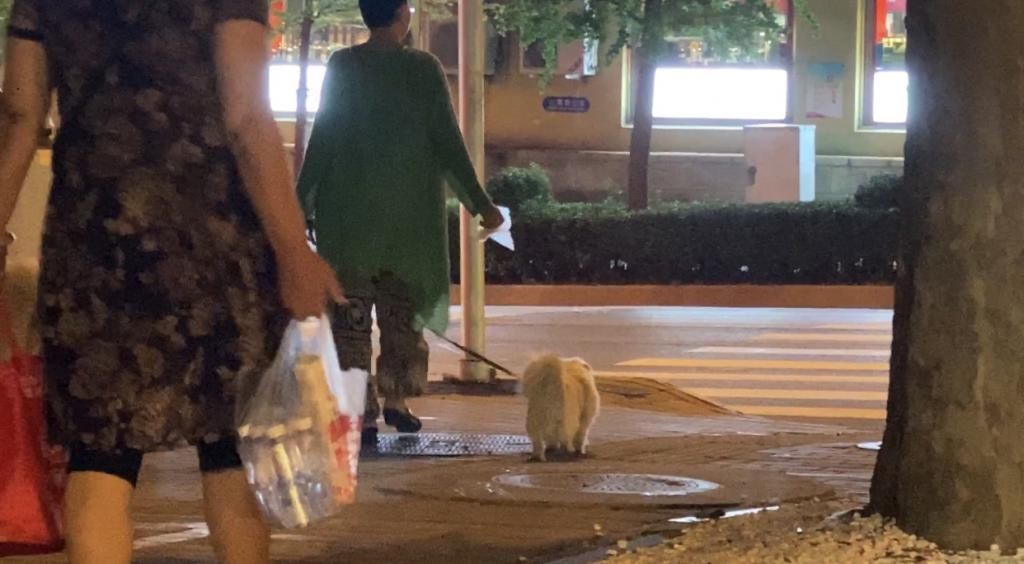 整治|组图——不文明养犬整治见效快，记者拍照拍出欣慰感