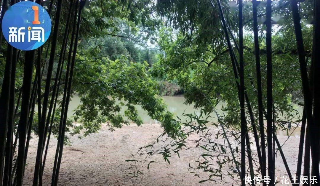 发生|在夏天溺水高发悄然发生。尽管反复强调但是悲剧还是发生了