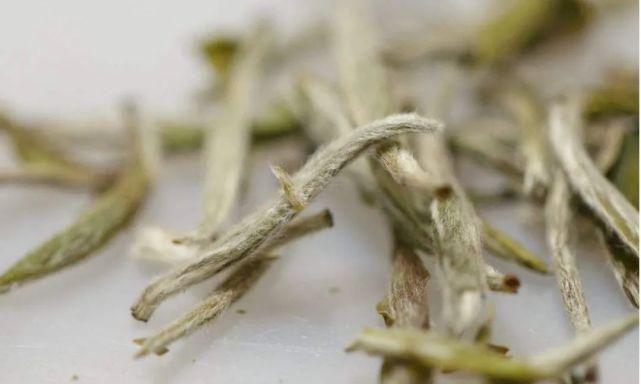 开水|怎么泡白茶,能保留的更多营养