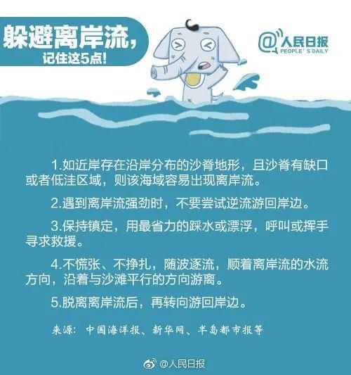  小麦|小麦岛海边发生惊险一幕！又有11人中招！