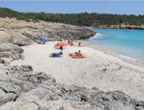  日光浴|西班牙52岁大妈海滩未着丝缕日光浴，被30岁非裔男子侵犯并偷走随身物