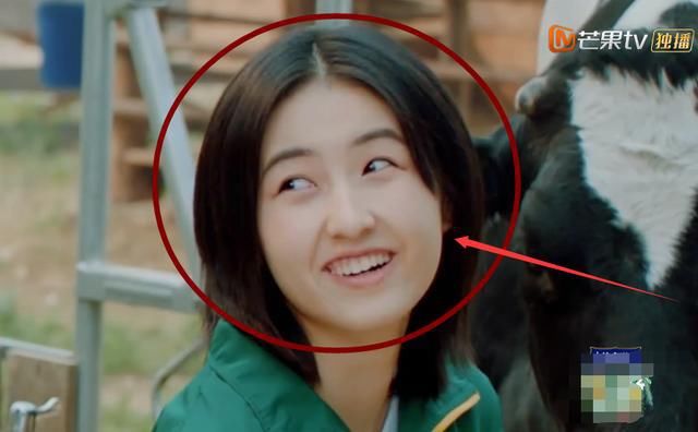  解释|张子枫为啥现在不常喝牛奶了？其实何炅早就解释过，原因让人咂舌