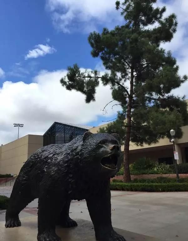  交流|本科交流交换助力背景提升，加州大学洛杉矶分校本科交换项目体验