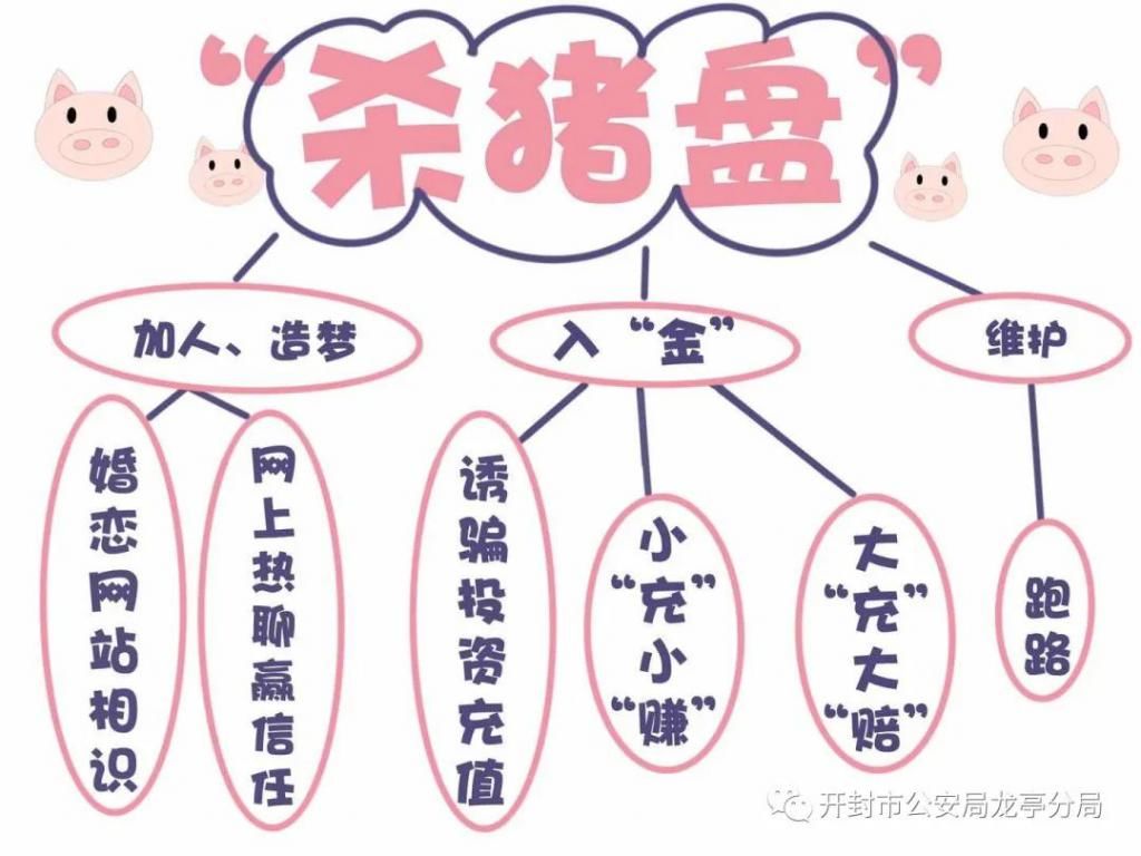  杀猪|一首歌的时间：教你识破新型诈骗“杀猪盘”