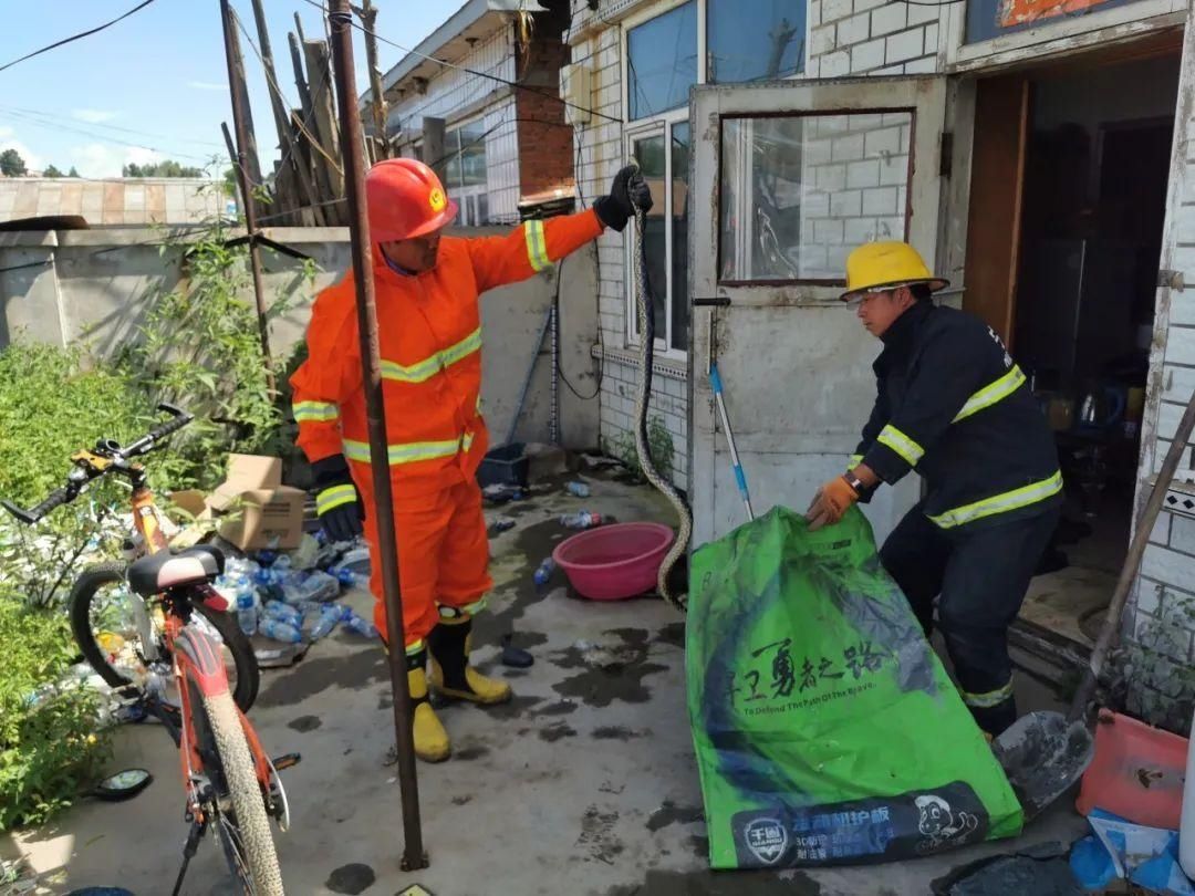 大蛇|你家里进过“大长虫”吗？胆小者勿进！