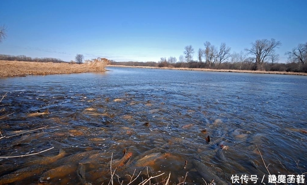  却是|世界上最窄的河流，宽度仅10多厘米，却是连接两座湖泊的重要水道